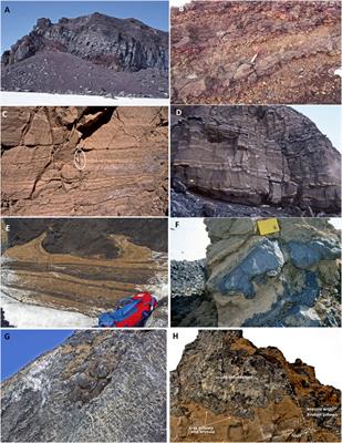Controlling influence of water and ice on eruptive style and edifice construction in the Mount Melbourne Volcanic Field (northern Victoria Land, Antarctica)